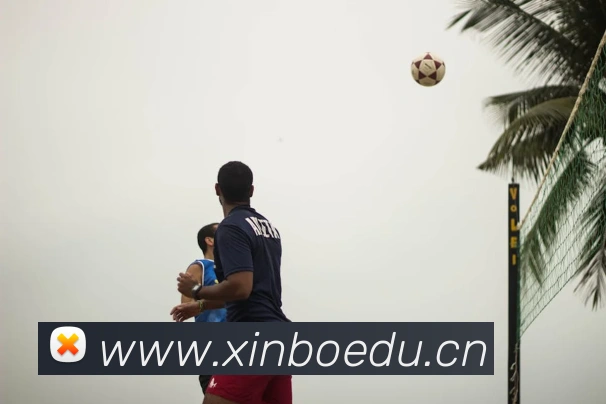 App Interface Preview